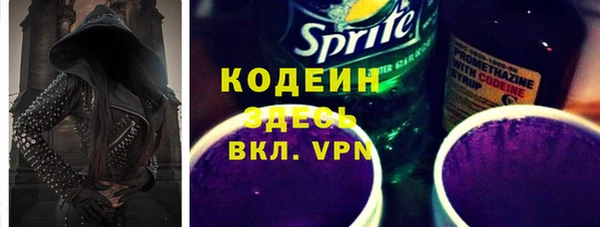 хмурый Вяземский