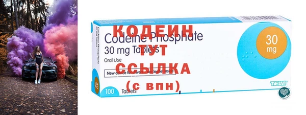 хмурый Вяземский