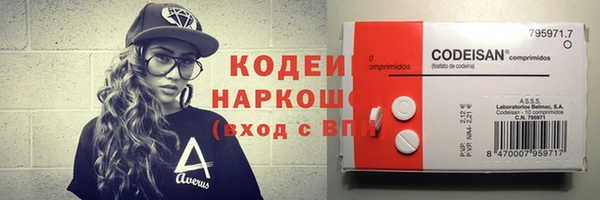 хмурый Вяземский