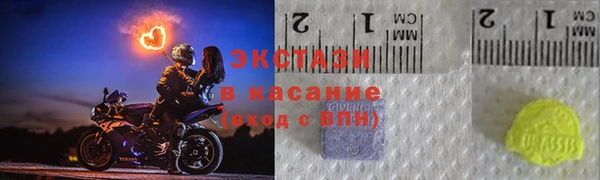 СК Вязьма