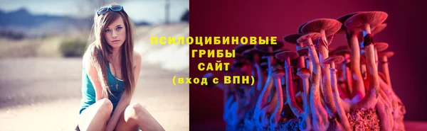 СК Вязьма