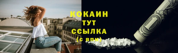 СК Вязьма