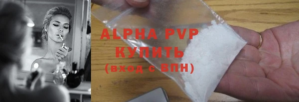 СК Вязьма