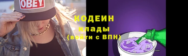 хмурый Вяземский