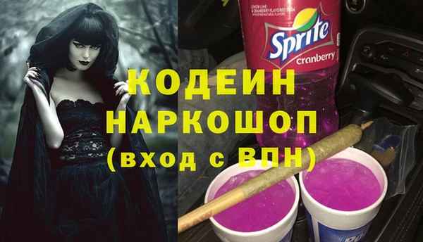 СК Вязьма