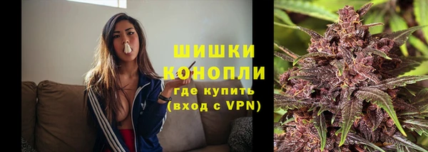 СК Вязьма