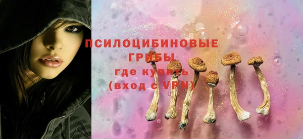СК Вязьма